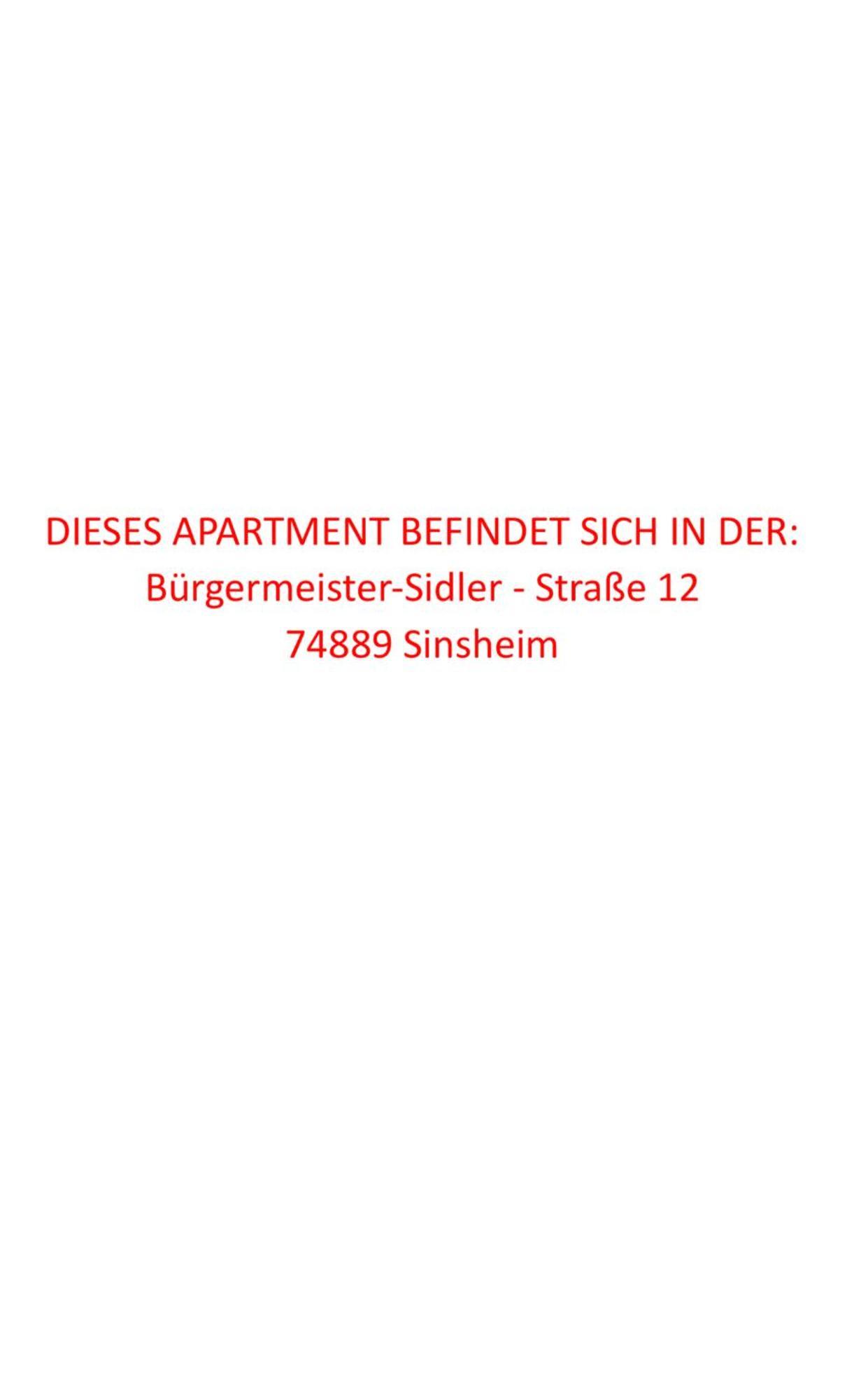 Ermmes Ferienwohnungen Sinsheim Room photo